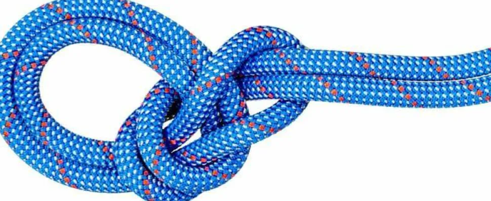 Mammut 9.5 Crag Classic Rope 70m Blue-white